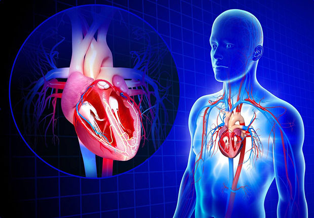 تعویض دریچه قلب بدون عمل باز